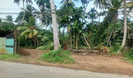 Bare Land