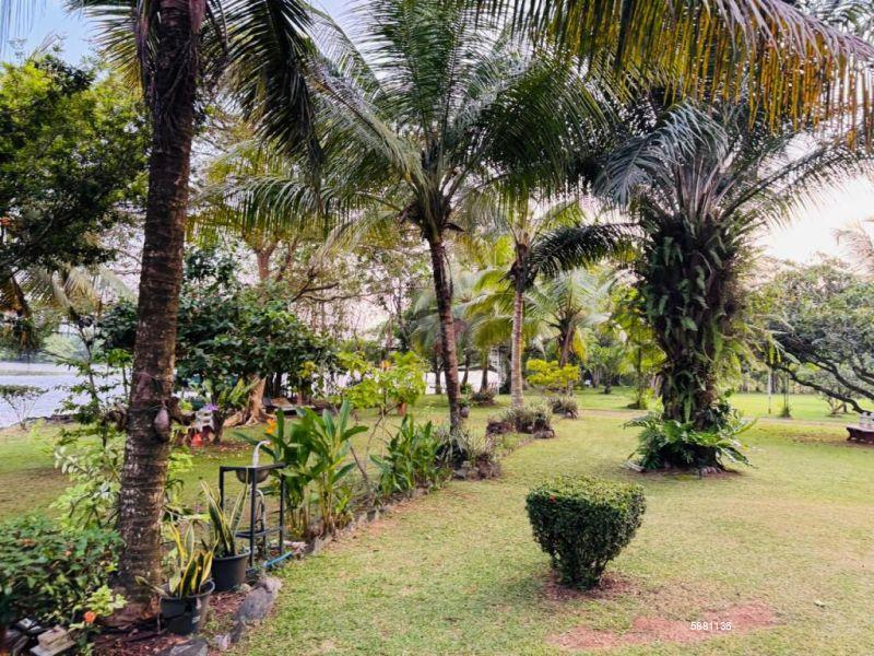 Commercial for sale in Bolgoda