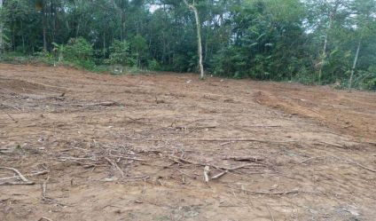 Land with house