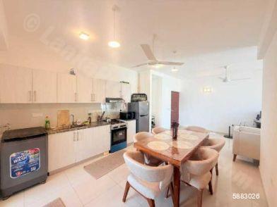 Kitchen - Apartment for rent in Colombo 5