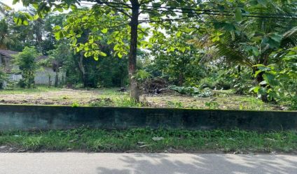Bare Land