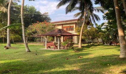Bungalow