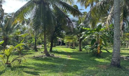 Land with house