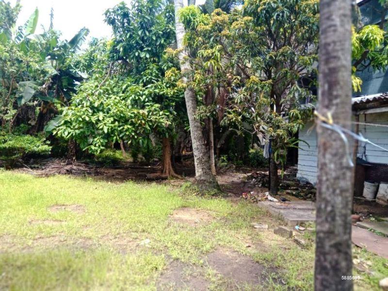 Bare Land for sale in Colombo 9