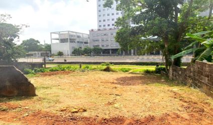 Bare Land