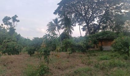 Land with house