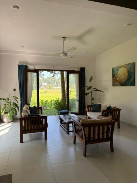 Living Room - Luxury Modern House for Sale with Uninterrupted Paddy Field View