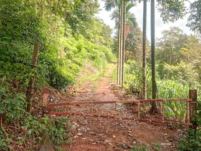 Bare Land for sale in Eheliyagoda