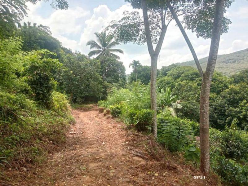 Bare Land for sale in Eheliyagoda