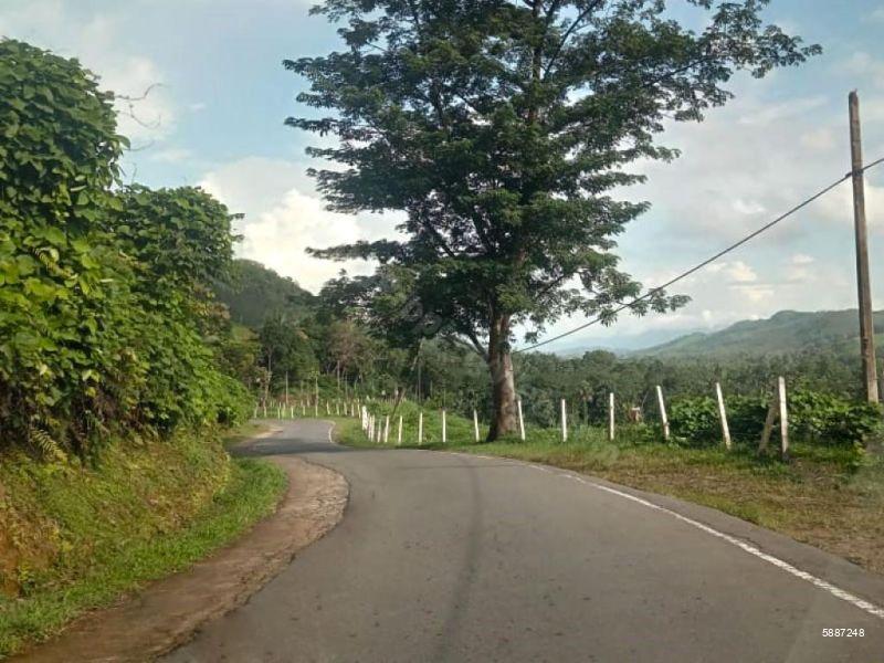 Bare Land for sale in Eheliyagoda