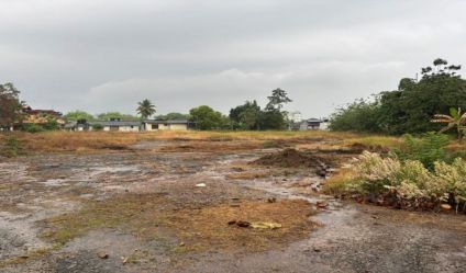 Bare Land