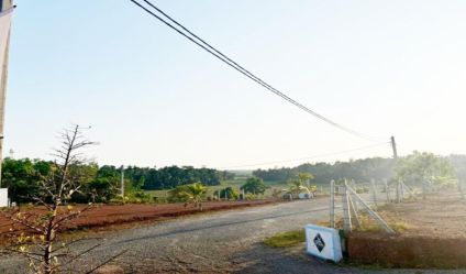 Bare Land