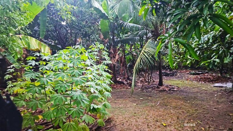 Bare Land for sale in Nawala