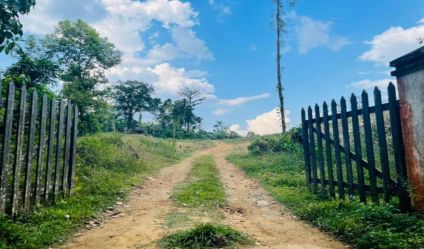Bare Land