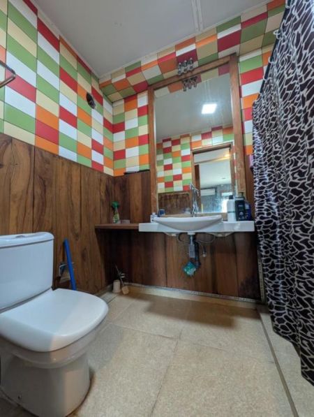 Bathroom - 3 Bedroom Apartment for Rent in Colombo 2