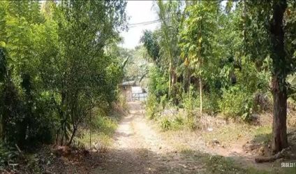 Bare Land