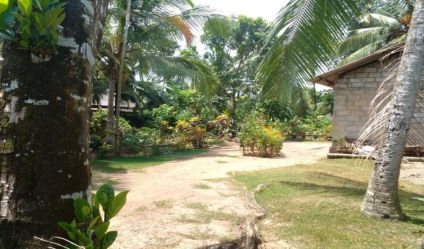 Land with house