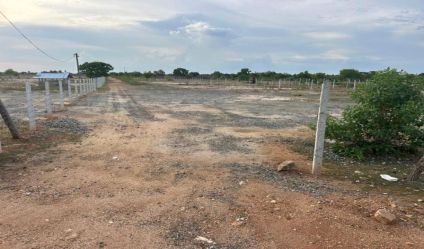 Bare Land