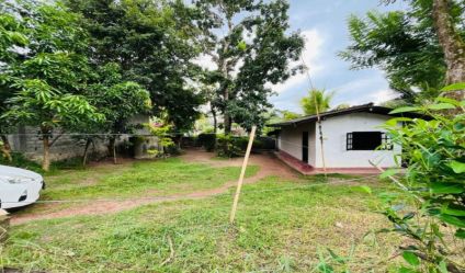 Land with house