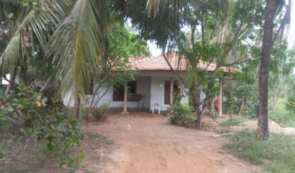 Land with house