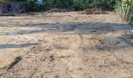 Bare Land