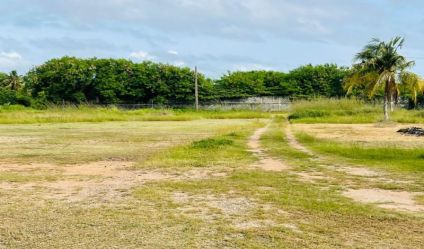 Bare Land