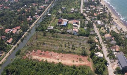 Bare Land