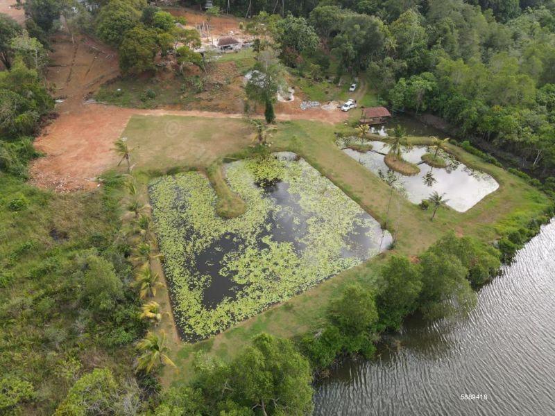 Waterfront land for sale in Bolgoda