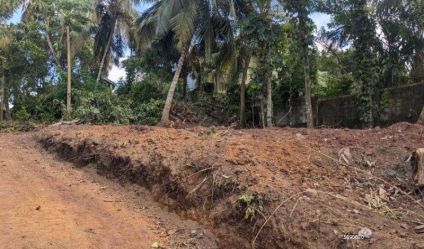 Bare Land