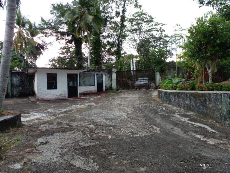 Commercial for sale in Watareka