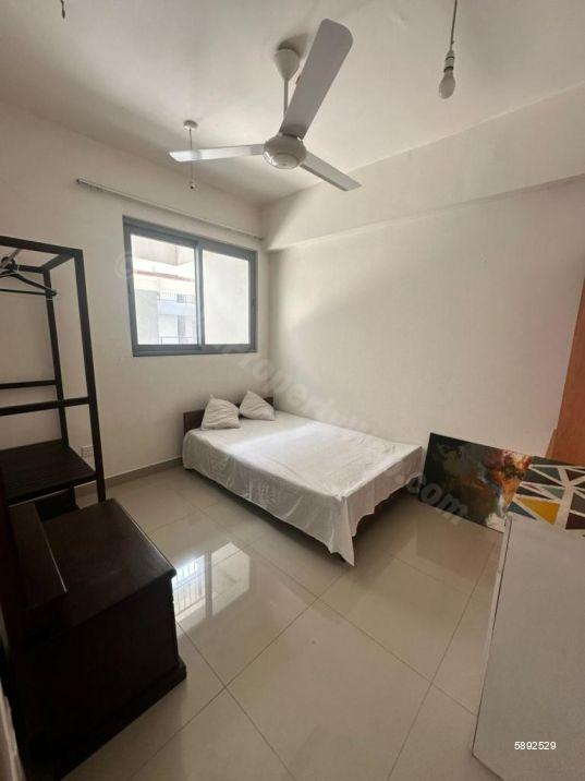 Bedroom - Apartment for rent in Colombo 8
