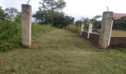 Land with house