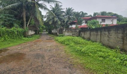 Bare Land