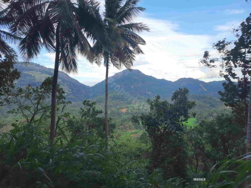 Cultivated Land for sale in Mawanella