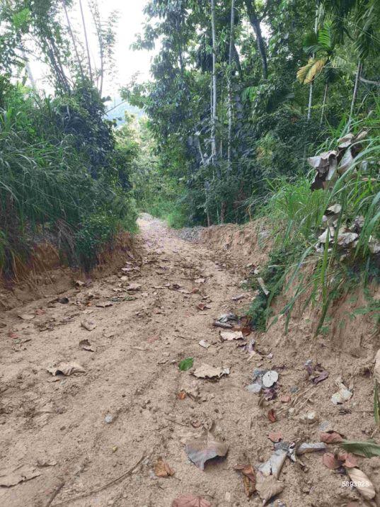 Cultivated Land for sale in Mawanella