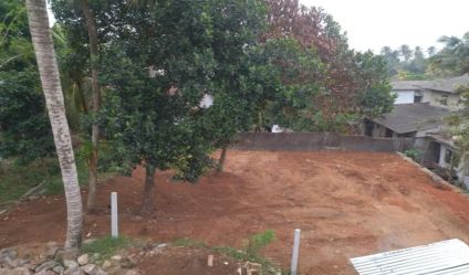 Bare Land