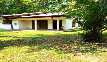 Land with house