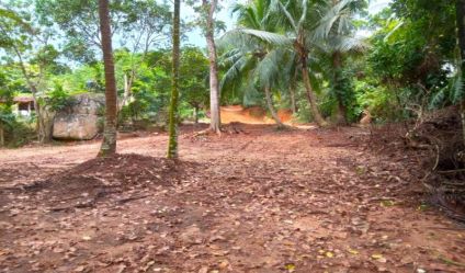 Cultivated Land