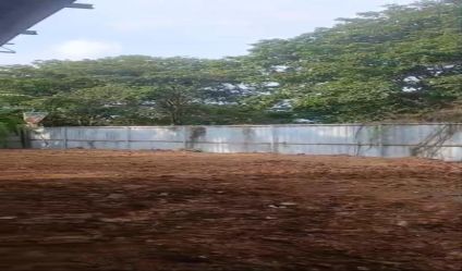 Bare Land