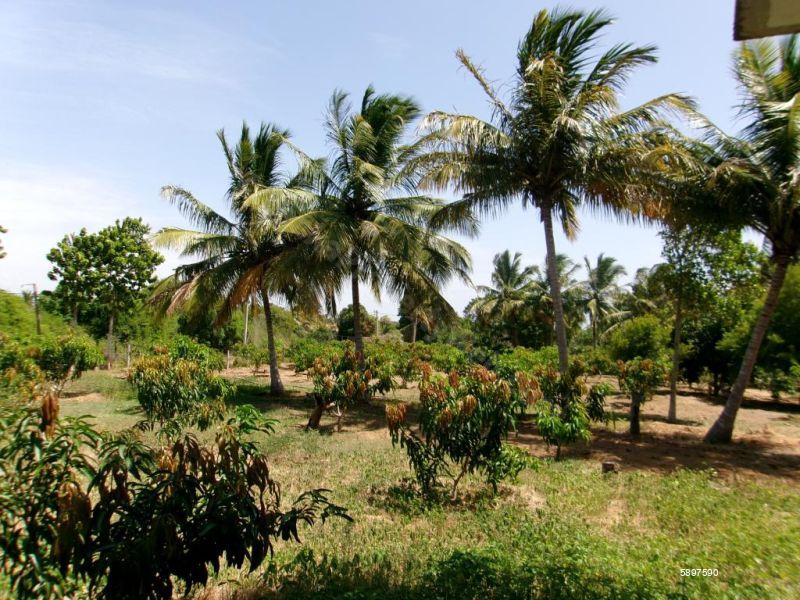 Hambantota Commercial for sale/rent