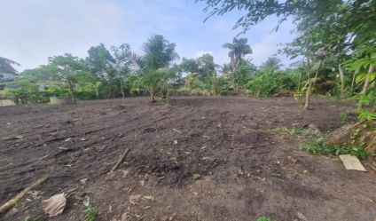 Bare Land
