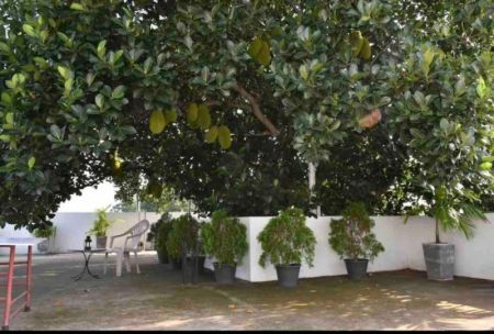 Exterior - 8 Bedroom Apartment for Sale - Colombo 5 | LKR 170,000,000 (EM541)