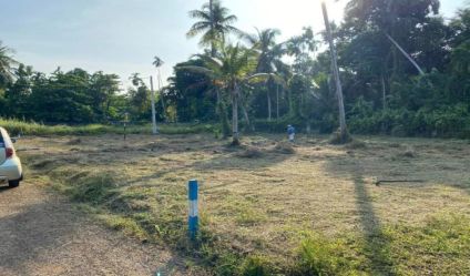 Bare Land