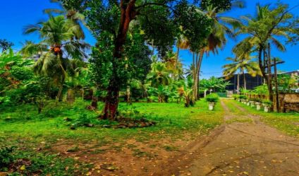 Land with house