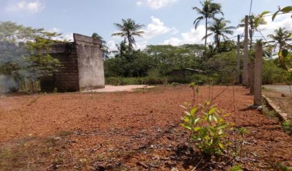 Bare Land