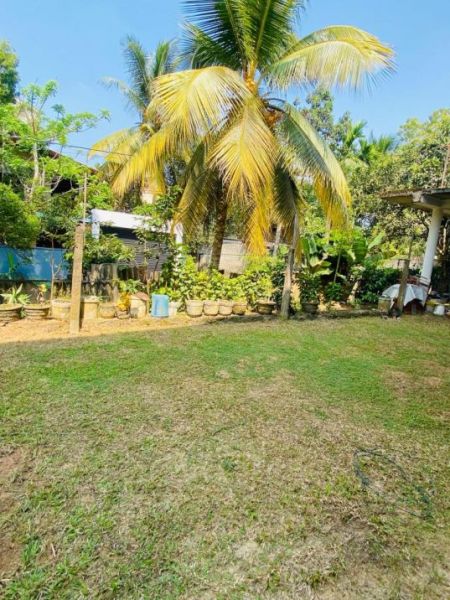 Exterior -  Panadura Two Storey House for Sale (SSPH-284)