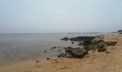 Beachfront land