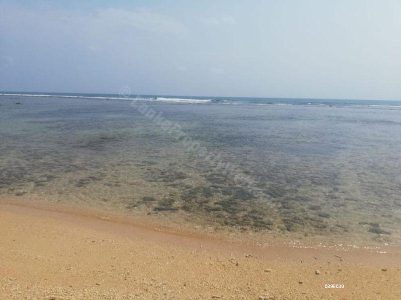 Beachfront land for sale in Pasikudah