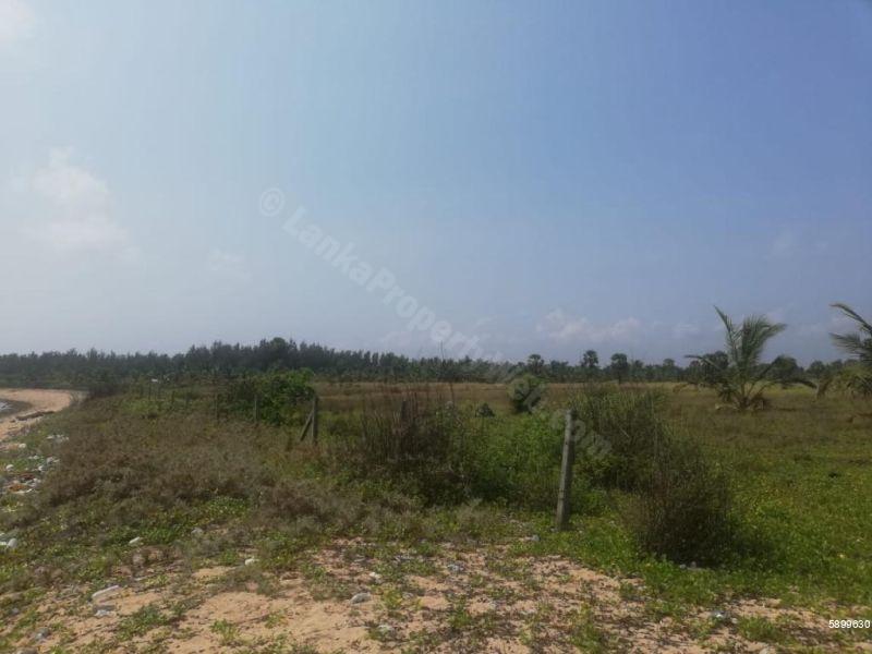Beachfront land for sale in Pasikudah