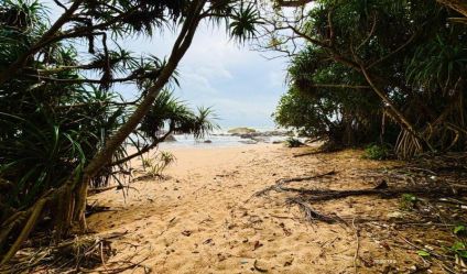 Beachfront land